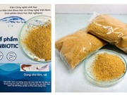 Chế phẩm synbiotic nuôi tôm thẻ chân trắng từ phụ phẩm khô đậu nành